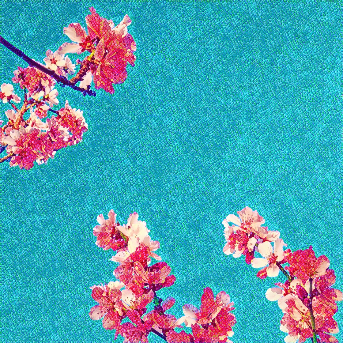 Apps That Turn Photos Into Drawings no script