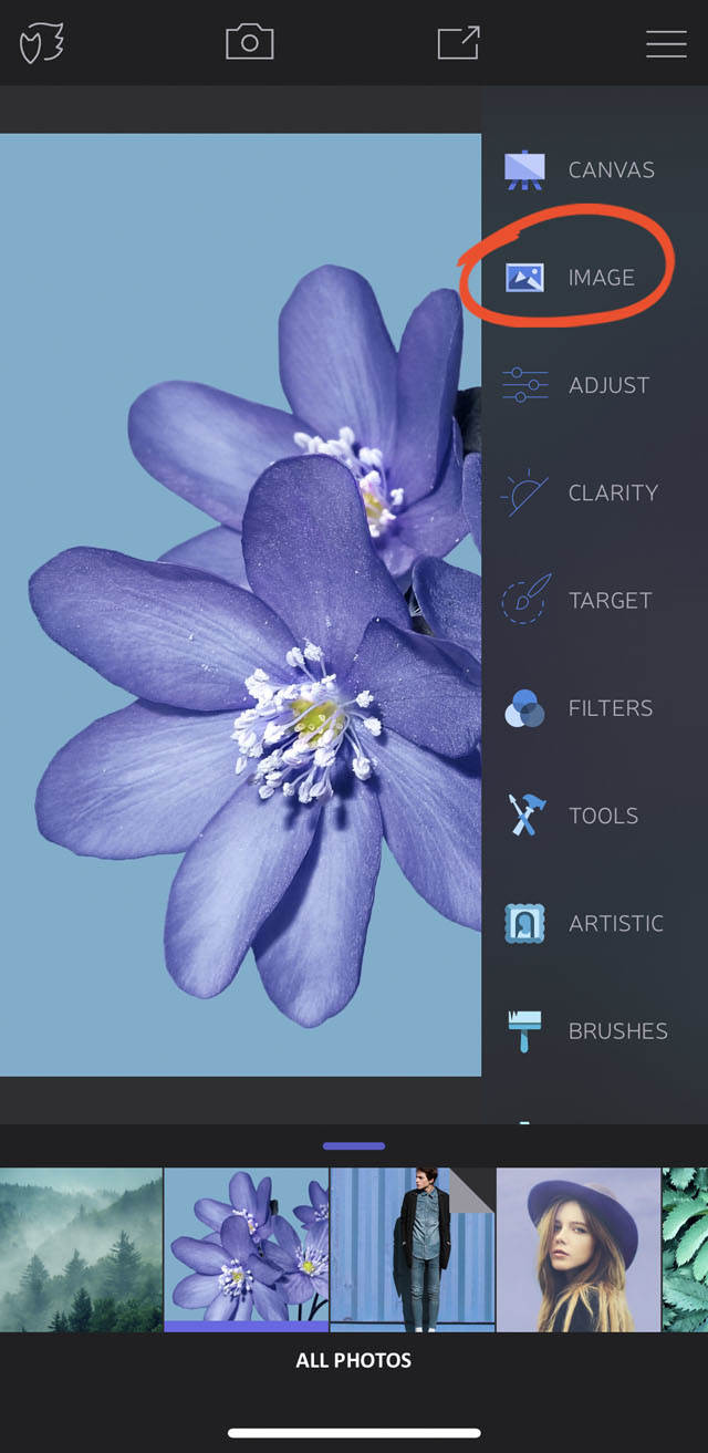 How to use enlight app on iphone 35 no script