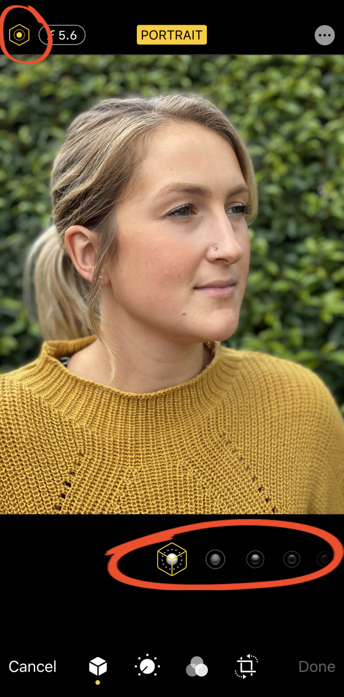 How To Blur Background On iPhone no script