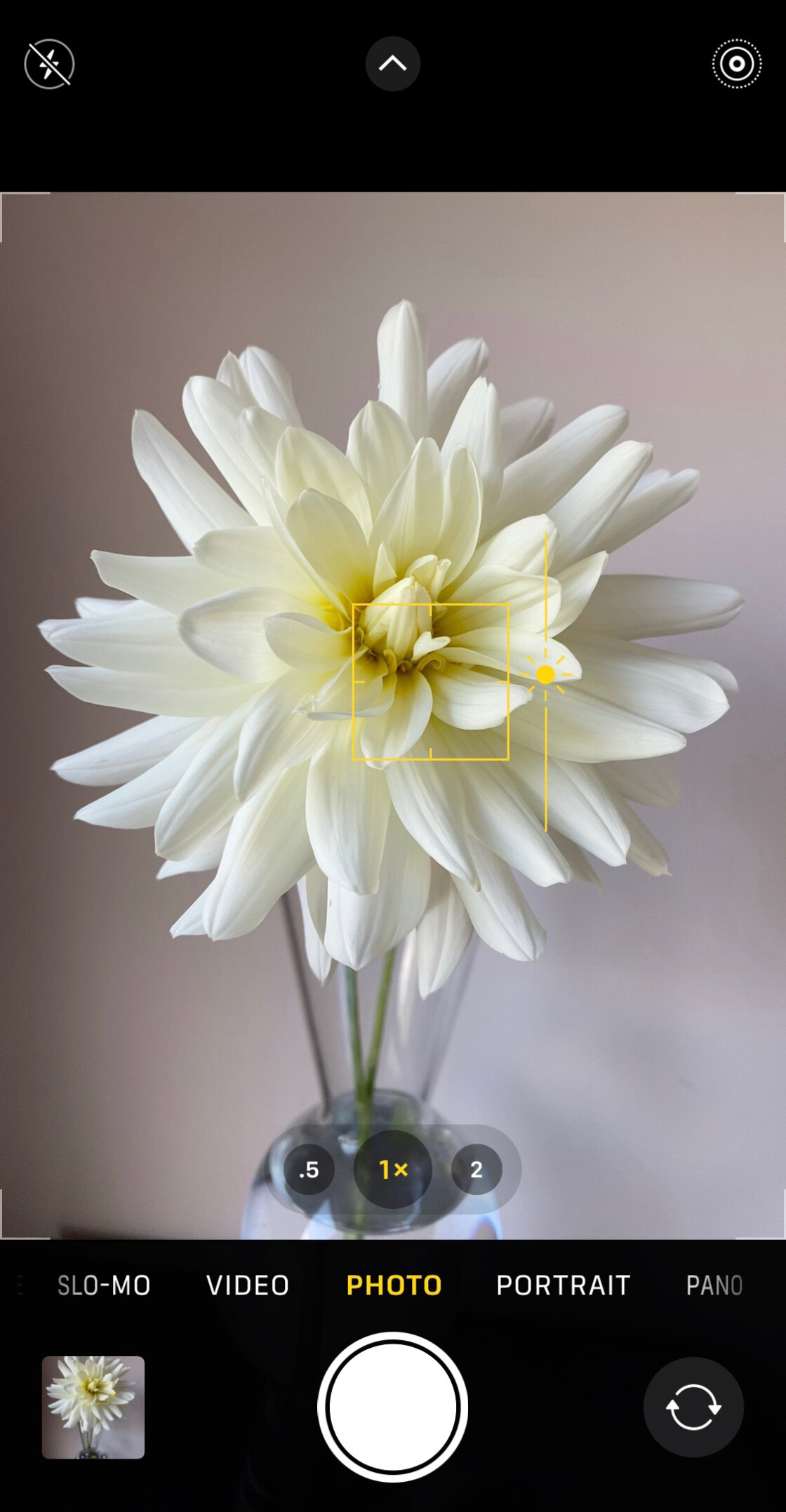 iPhone Camera Controls no script
