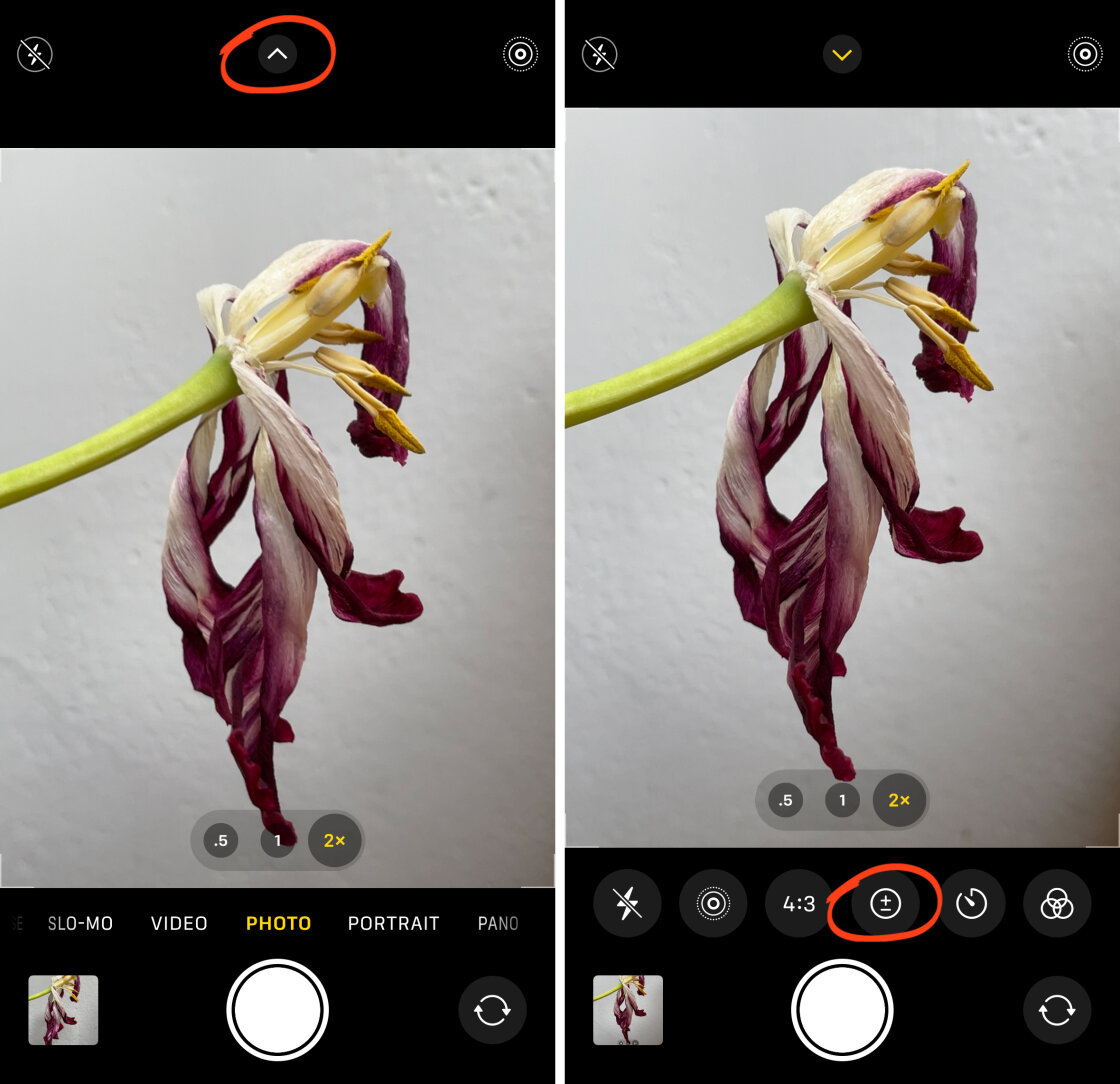 iPhone Camera Controls no script