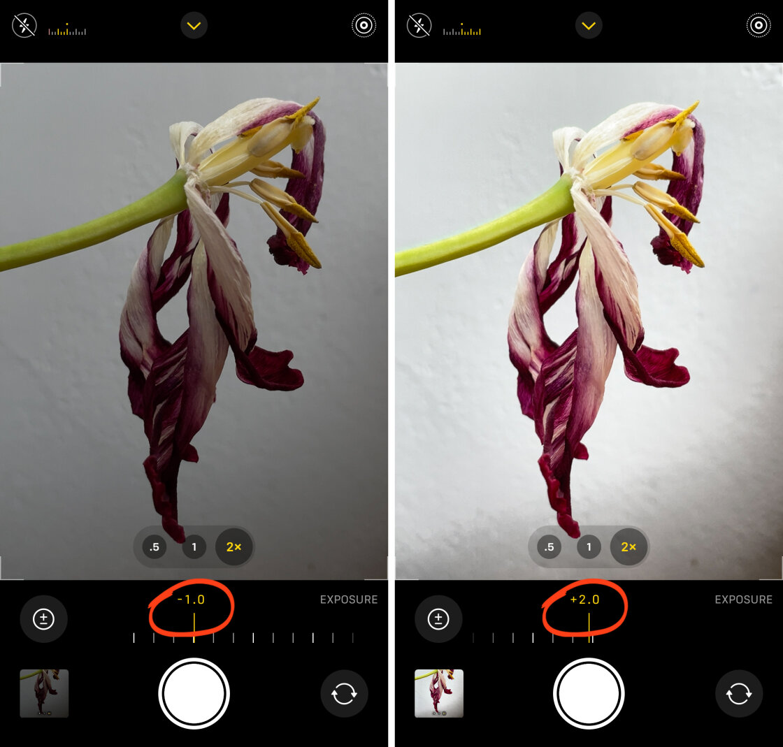 iPhone Camera Controls no script