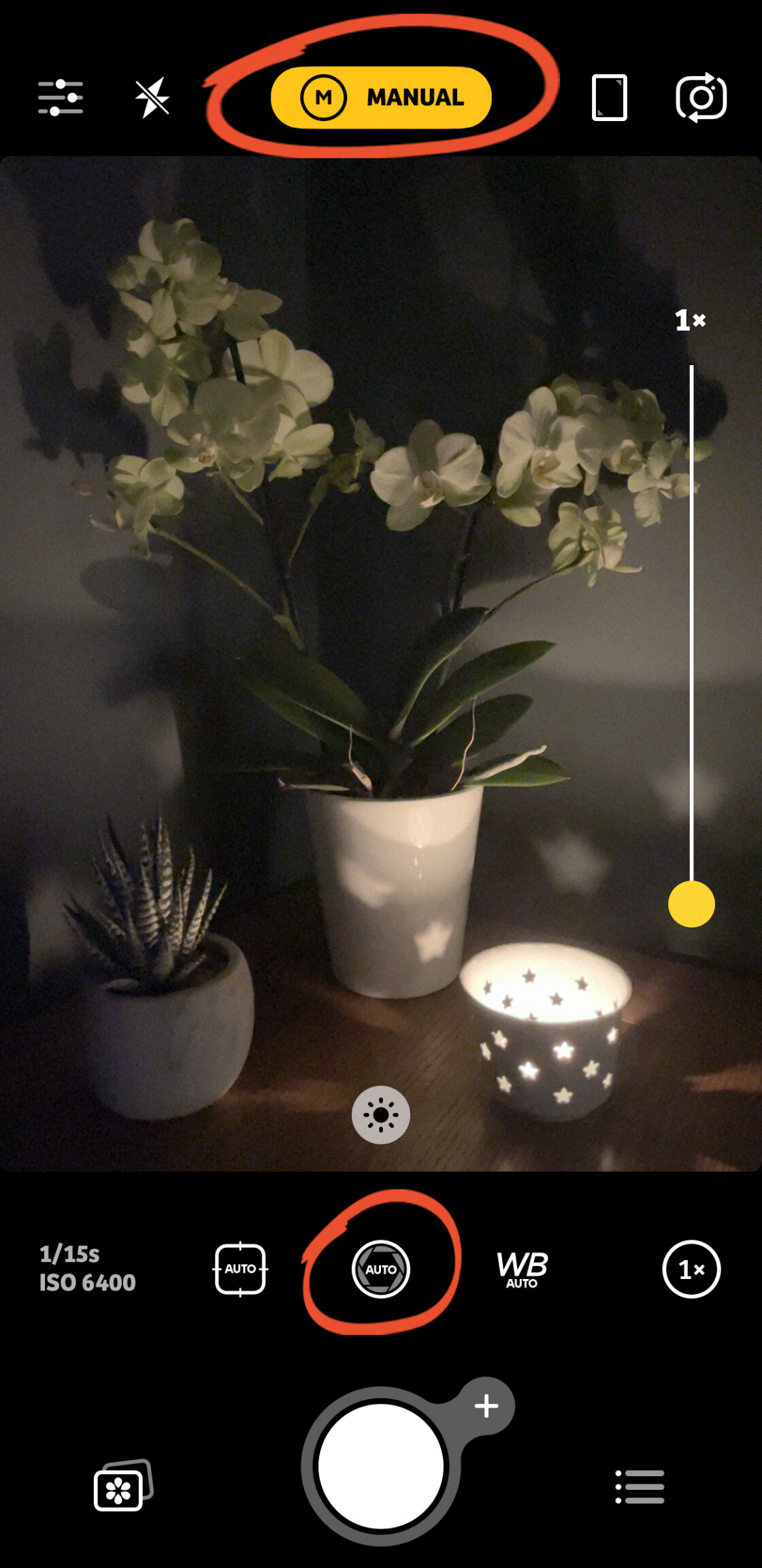iPhone Camera Controls no script