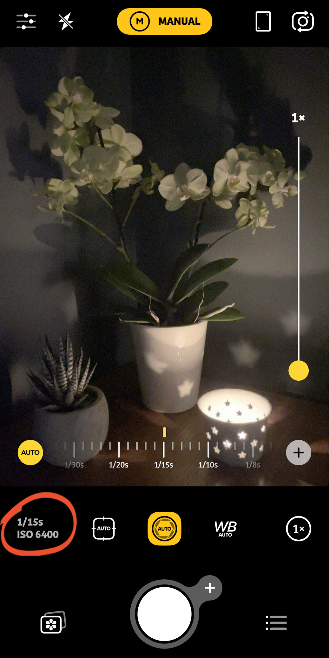 iPhone Camera Controls no script