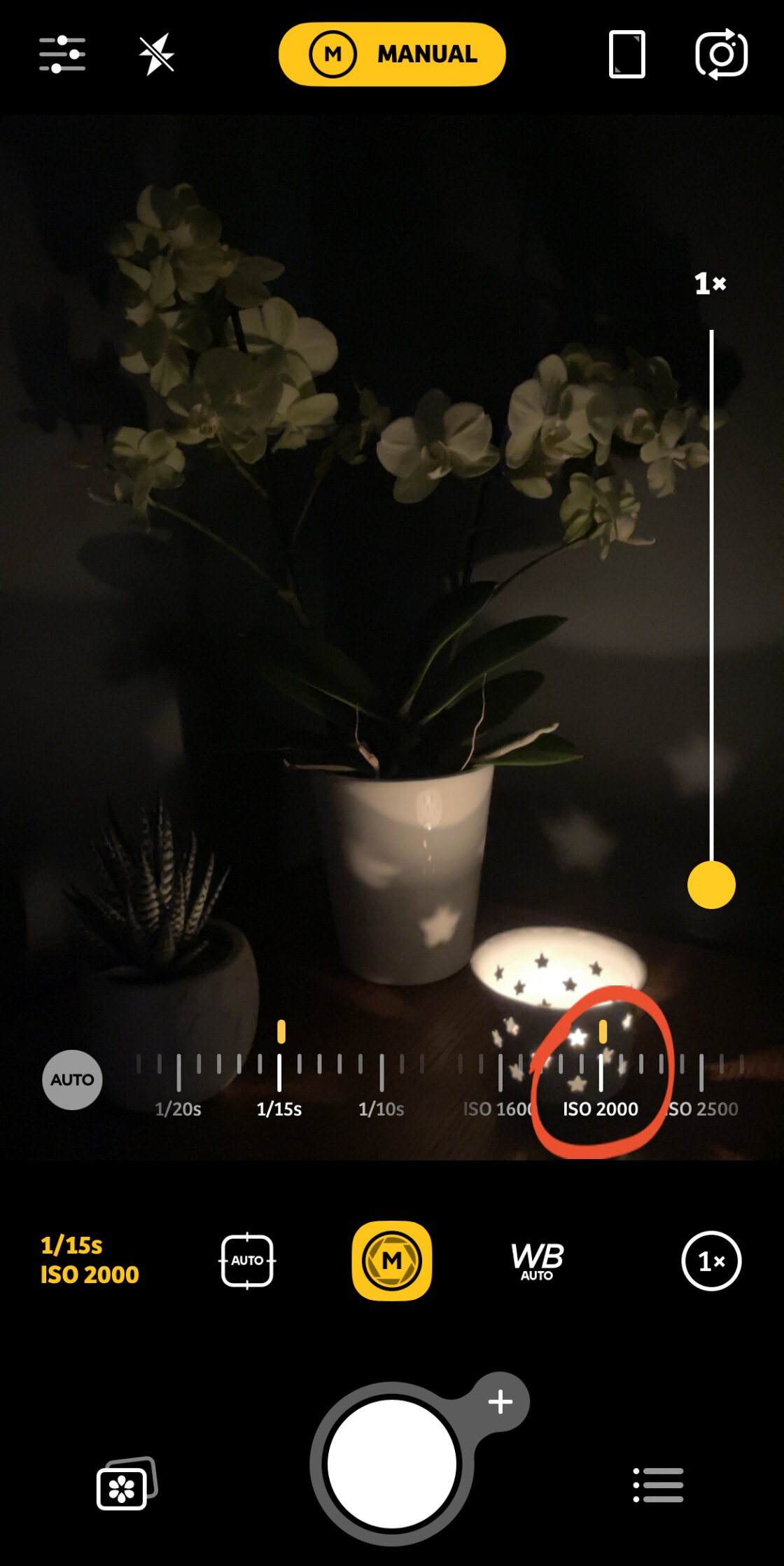 iPhone Camera Controls no script
