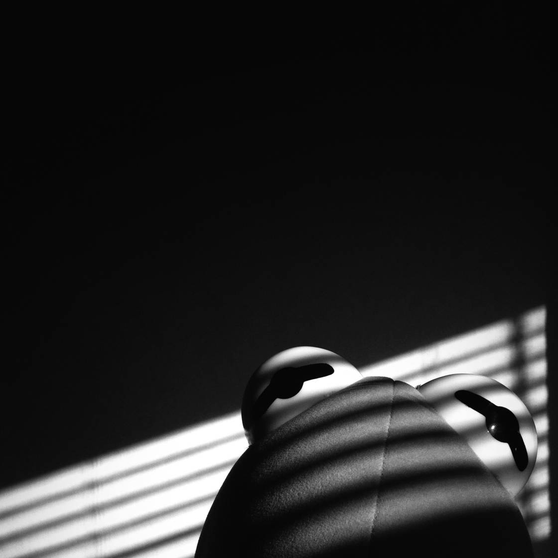 iPhone Camera Controls no script