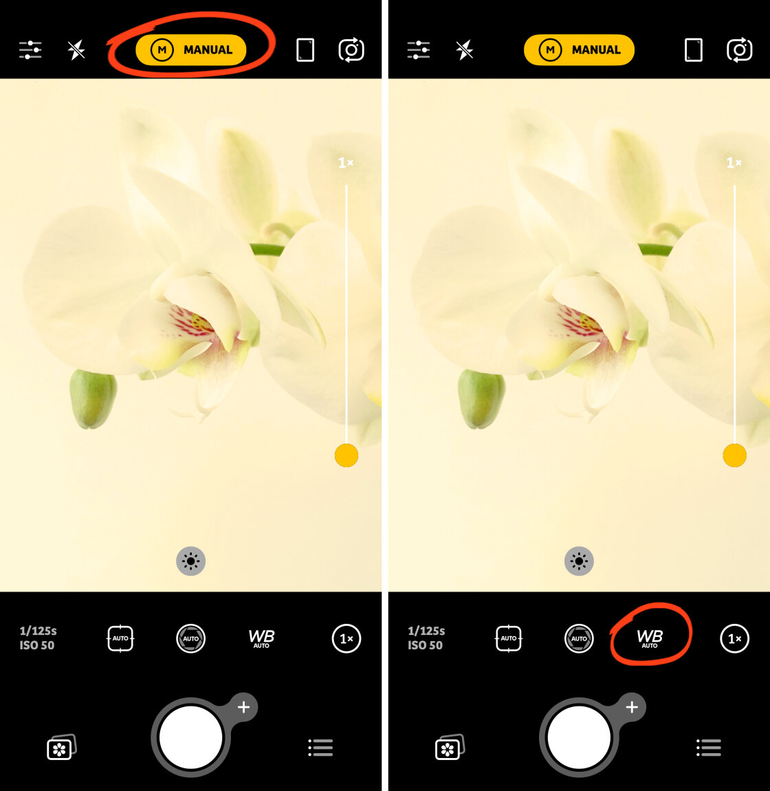 iPhone Camera Controls no script