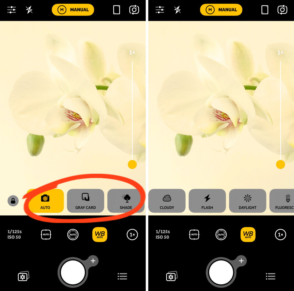 iPhone Camera Controls no script