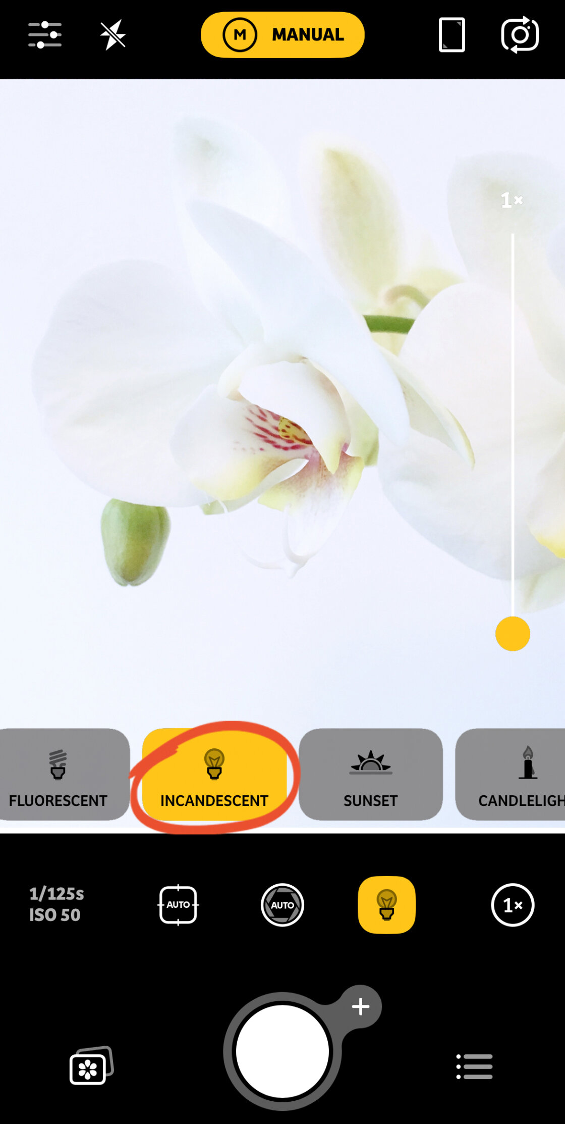 iPhone Camera Controls no script