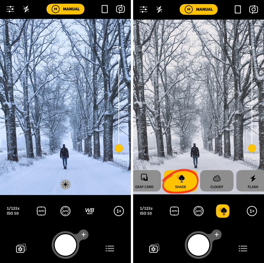iPhone Camera Controls no script