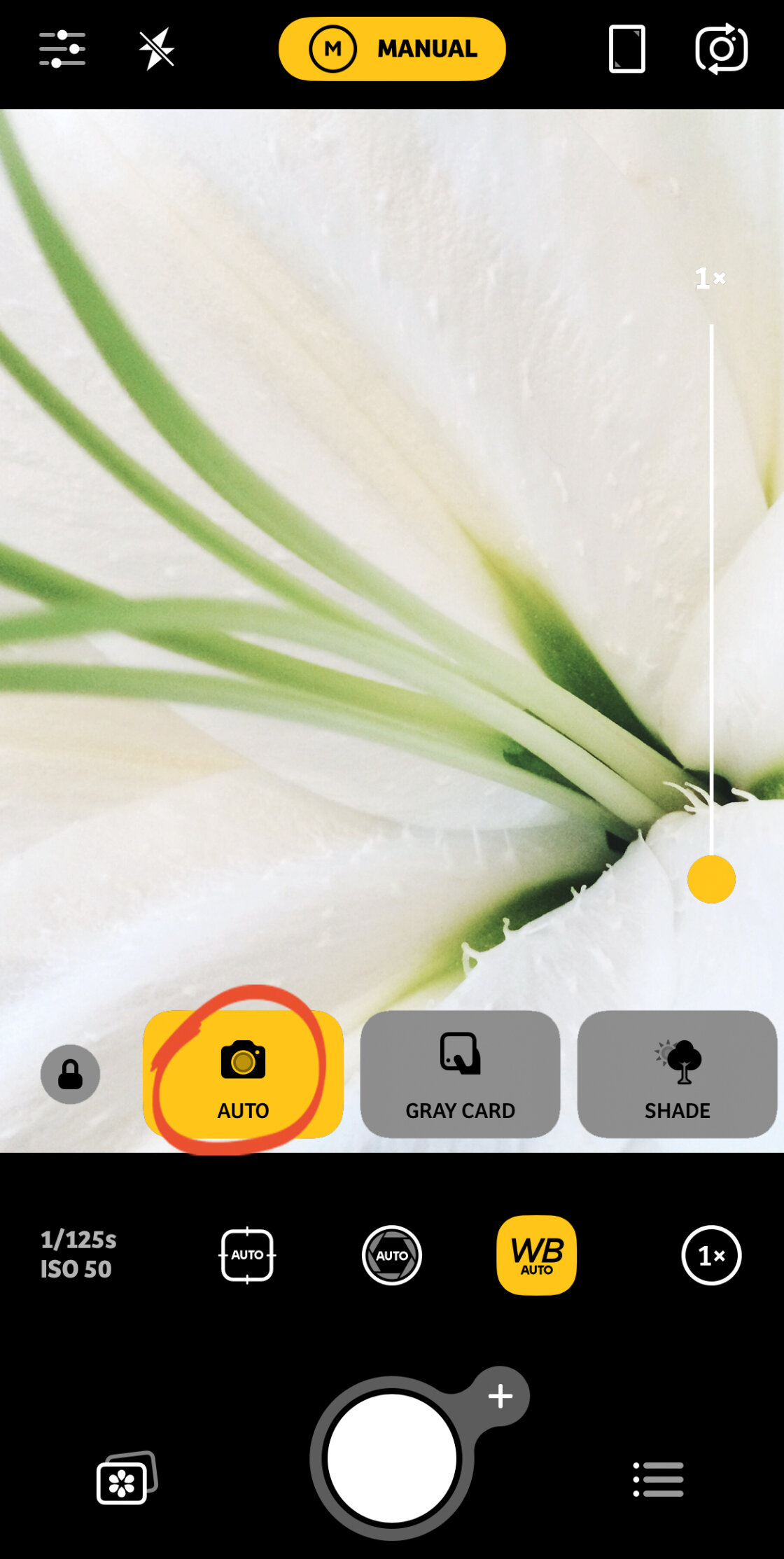 iPhone Camera Controls no script