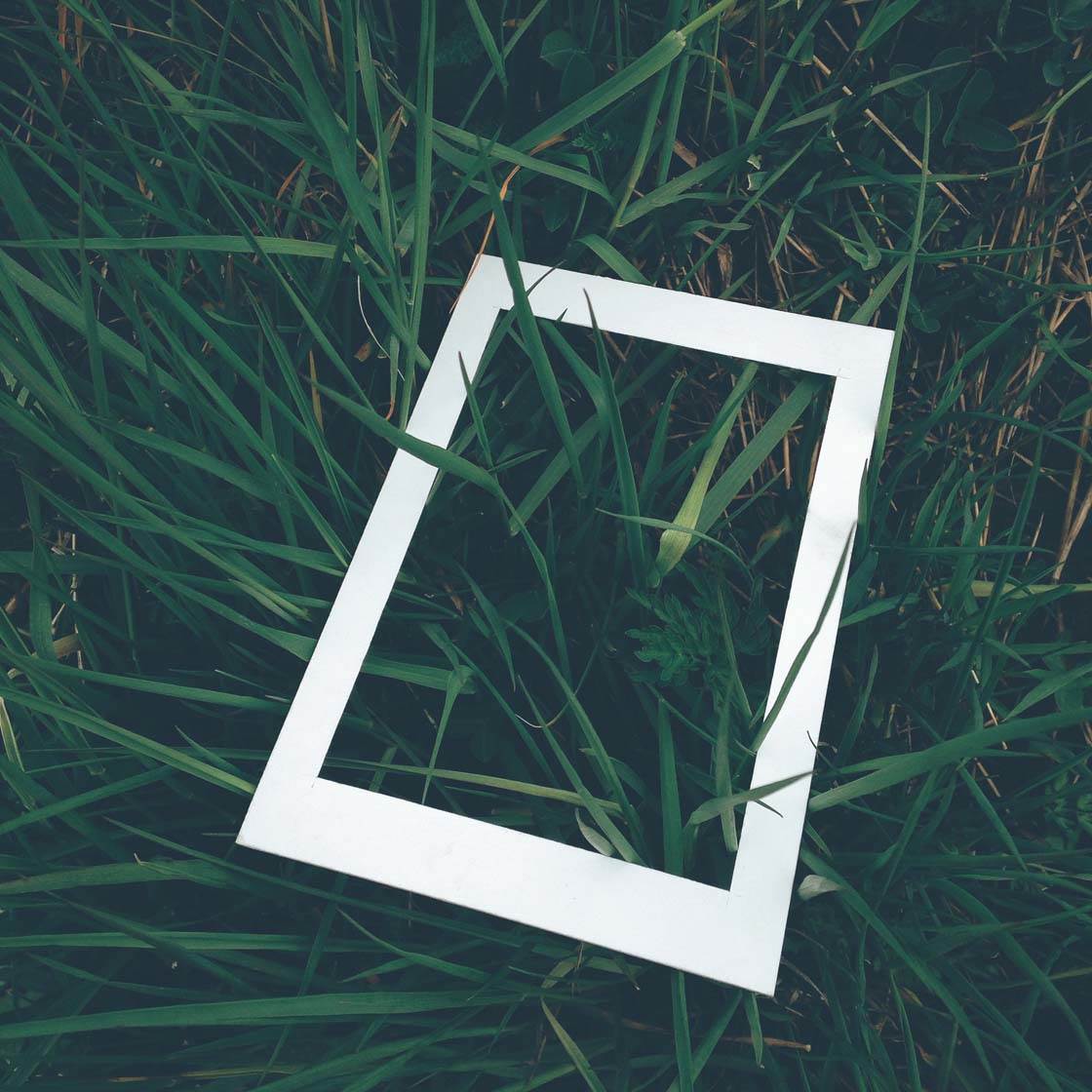 Processed with VSCOcam with e8 preset no script