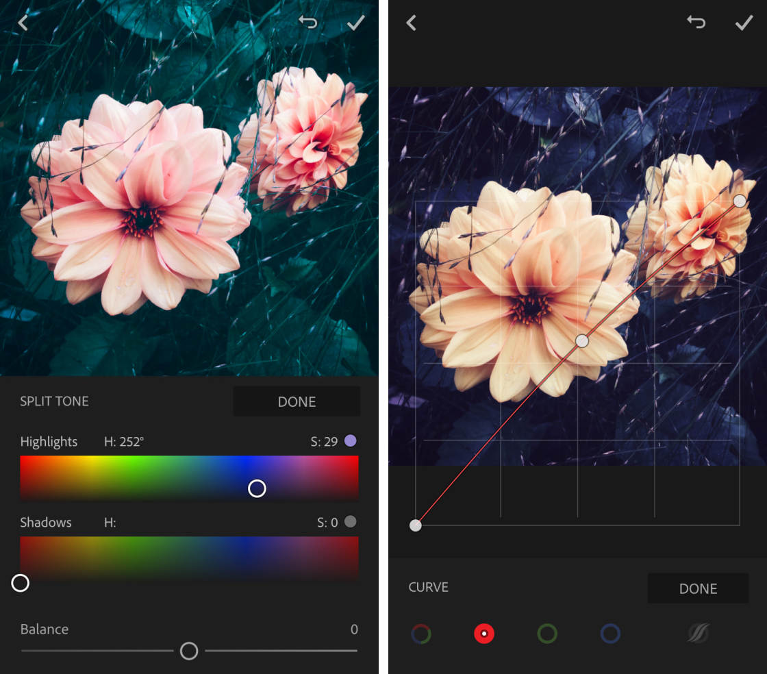 Photo Apps no script