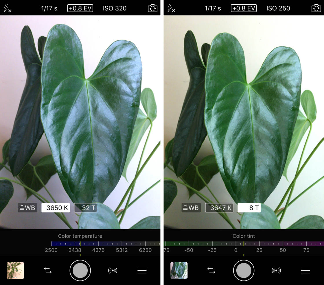 Photo Apps no script