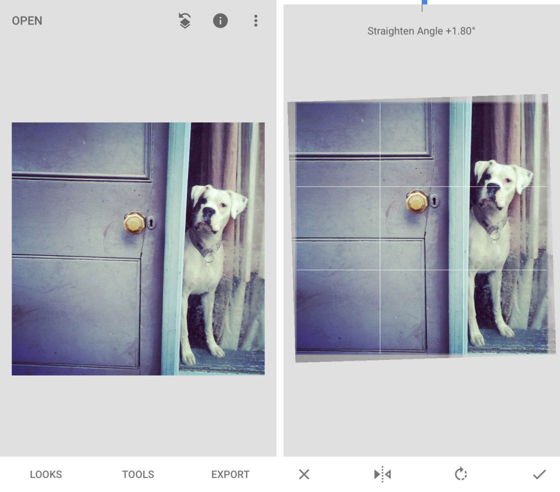 Snapseed no script