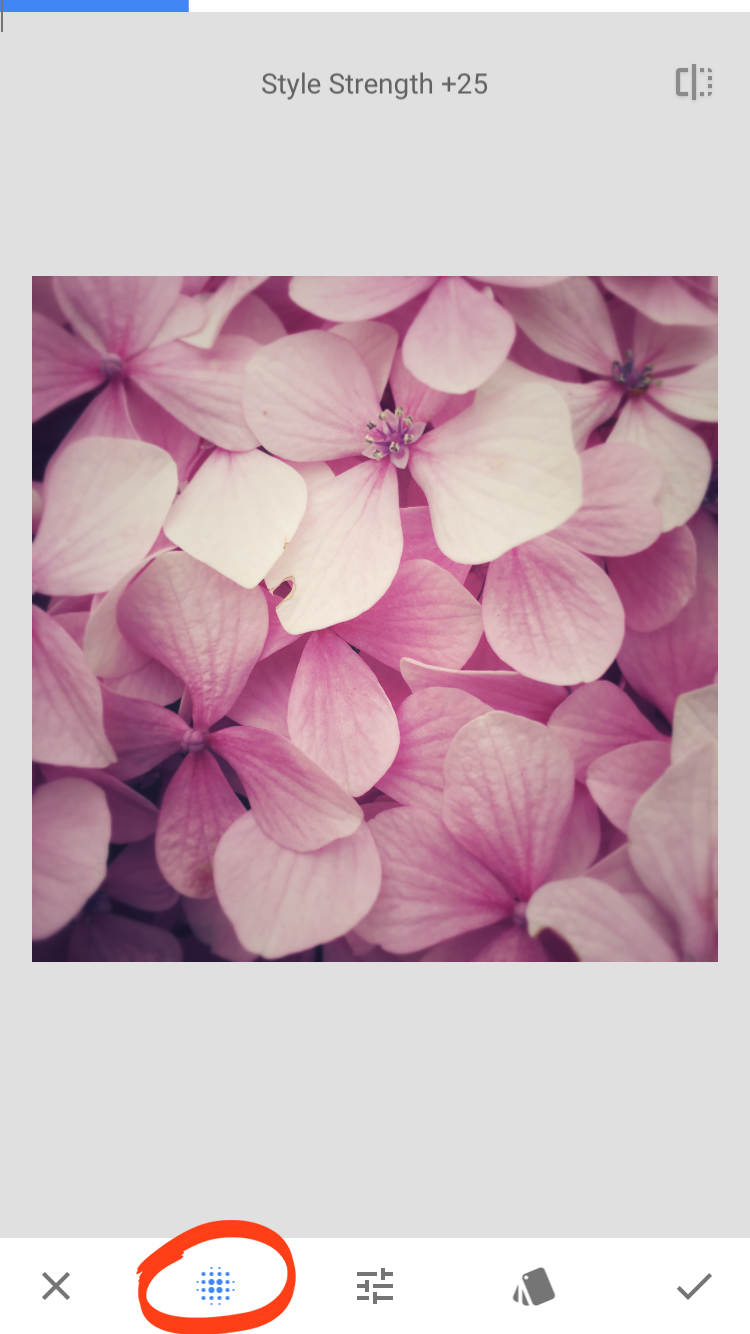 Snapseed no script