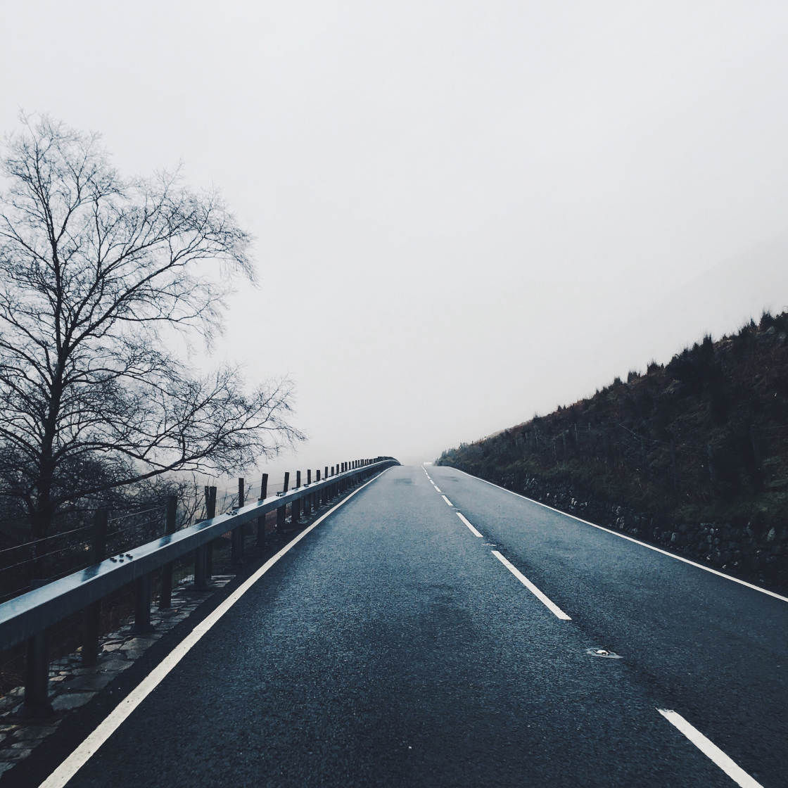 VSCO no script